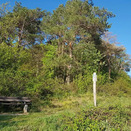 Ferienapartment Im Augustinus Park