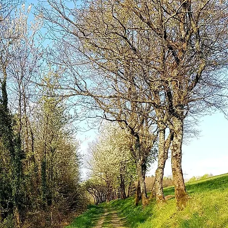 Apartment Ferienapartment Im Augustinus Park *