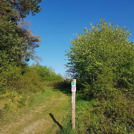 Ferienapartment Im Augustinus Park Apartment Trier