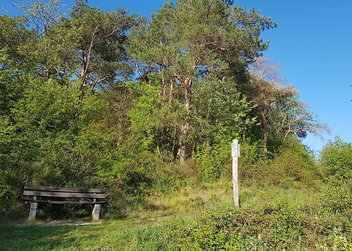 Ferienapartment Im Augustinus Park