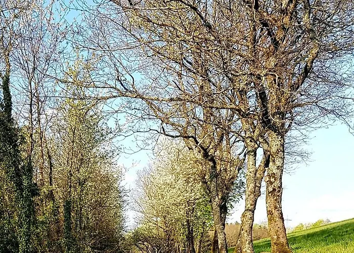 Apartamento Ferienapartment Im Augustinus Park *