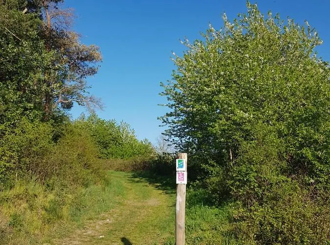 Ferienapartment Im Augustinus Park Apartamento Trier